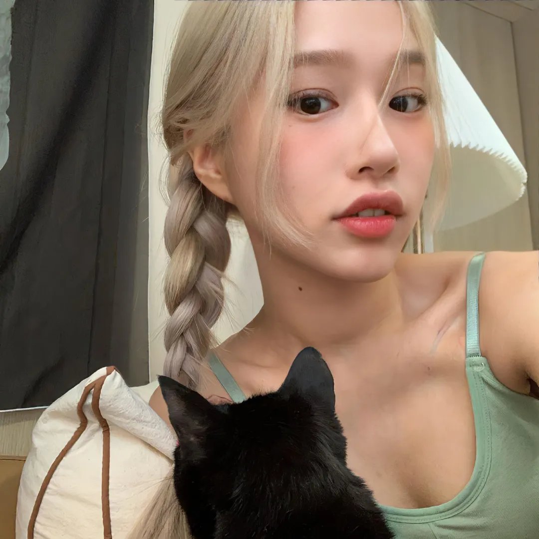 飞盘犬